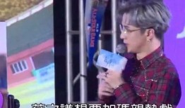 薛之谦黑铁爆料视频播放,揭秘背后真相与争议